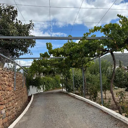 El Domingo En El Valle *