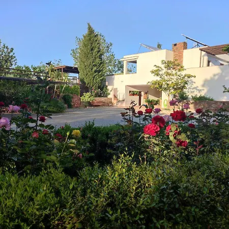 Villa El Domingo En El Valle Fondon